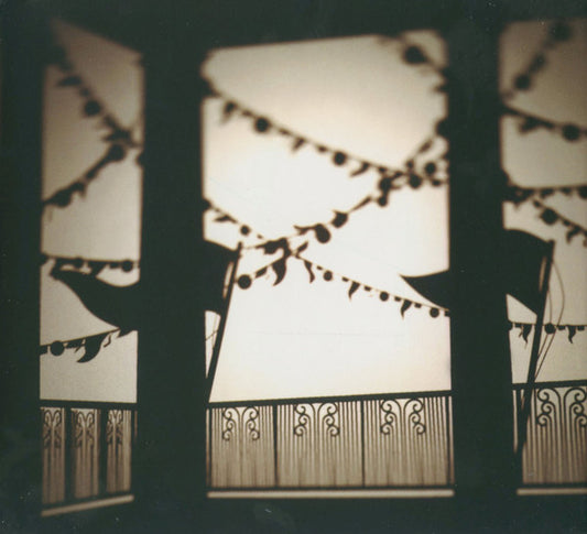 Decibully - City Of Festivals