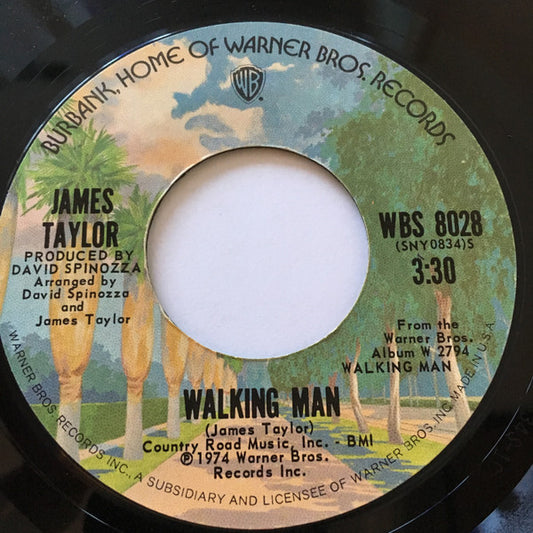 James Taylor - Walking Man / Daddy's Baby (7" Single)