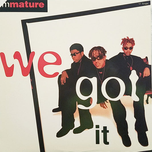 Immature - We Got It (12", Single)