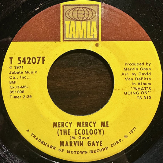 Marvin Gaye - Mercy Mercy Me (The Ecology)