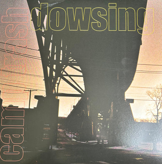 Dowsing, Camp Trash - An Embarrassment of Riches (LP, S/Sided)