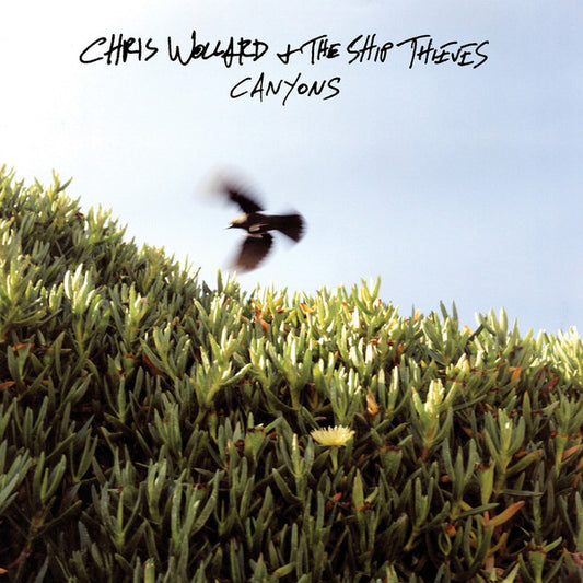 Chris Wollard & The Ship Thieves - Canyons