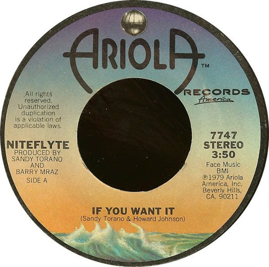 Niteflyte - If You Want It / I Wonder (7" Single)
