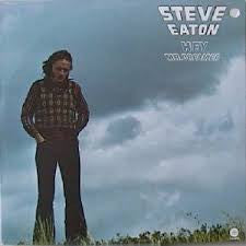 Steve Eaton - Hey Mr. Dreamer