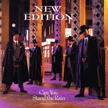 New Edition - Can You Stand The Rain (Extended Version) (12" Single)
