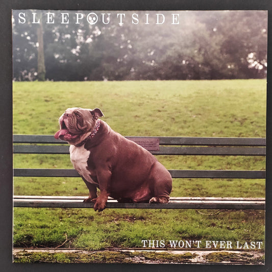 Sleep Outside - This Won't Ever Last